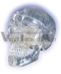 Classic- Skull, transparent, 3 part